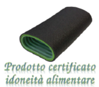 semiovale isol